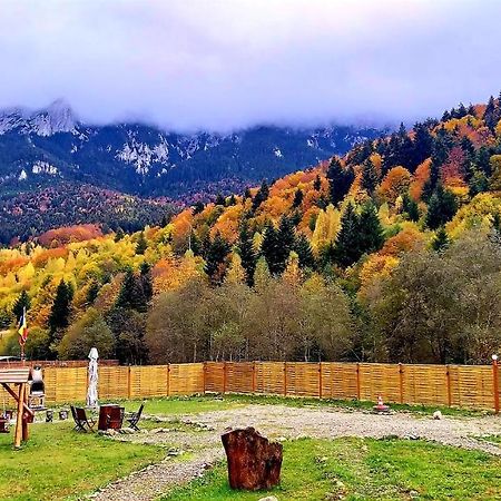 Vila Aroa Mountain 4 Zărneşti Exteriér fotografie