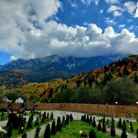 Vila Aroa Mountain 4 Zărneşti Exteriér fotografie