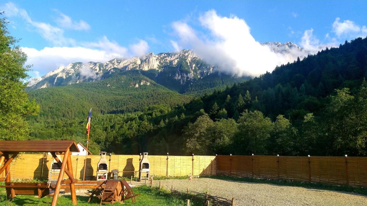 Vila Aroa Mountain 4 Zărneşti Exteriér fotografie