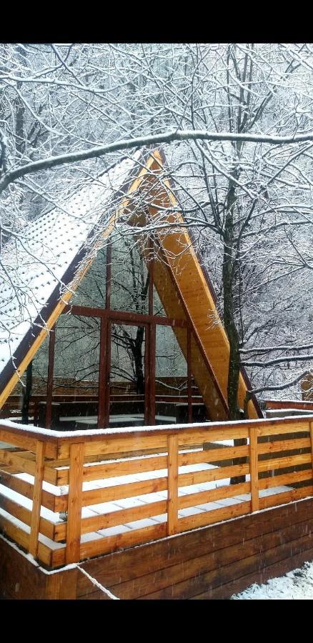 Vila Aroa Mountain 4 Zărneşti Exteriér fotografie