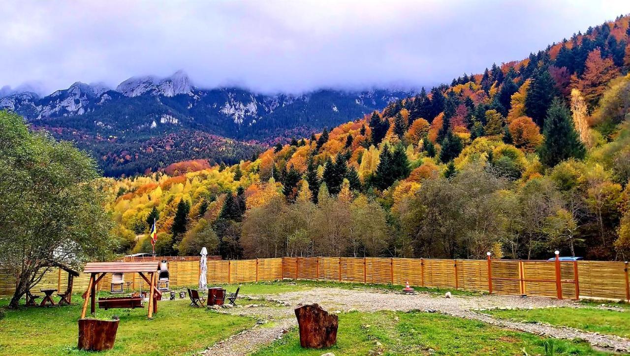 Vila Aroa Mountain 4 Zărneşti Exteriér fotografie