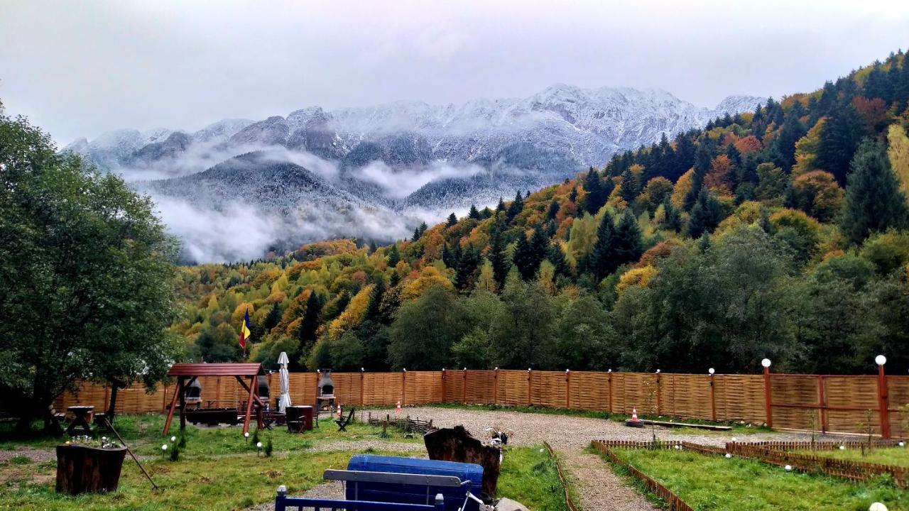 Vila Aroa Mountain 4 Zărneşti Exteriér fotografie