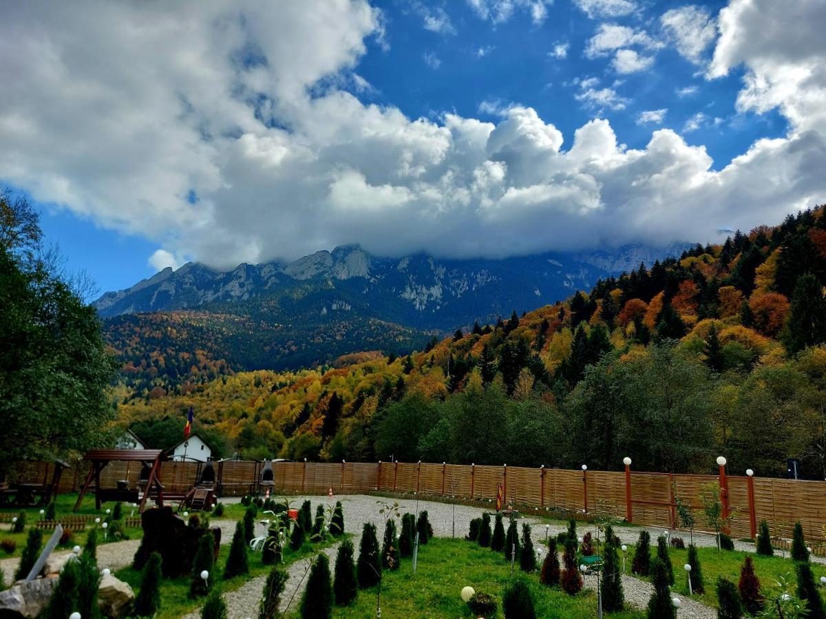 Vila Aroa Mountain 4 Zărneşti Exteriér fotografie